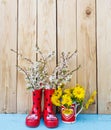 Bright flowers in pots, red rubber boots on a wooden background. Valentine`s Day Royalty Free Stock Photo