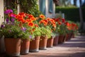bright flowers in terracotta pots by a spanish revival home