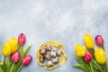 Bright flowers tulips and quail eggs on stone background. Spring and Easter holiday concept with copy space Royalty Free Stock Photo