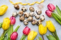 Bright flowers tulips and quail eggs on stone background. Spring and Easter holiday concept with copy space Royalty Free Stock Photo