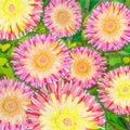 Bright flowers watercolor artwork as background, colorful hand drawn illustration