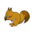 A bright fluffy squirrel sits and nibbles a nut, vector cartoon