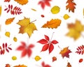 Bright flying autumn leaves seamless pattern