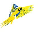 Bright flying parrot