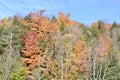 Bright foliage at edge of forest along hiking trail at Devil\'s Glen Royalty Free Stock Photo