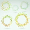 Bright fresh circle round design elements