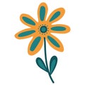 Bright and fresh daisy floral vector