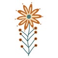 Bright and fresh daisy floral vector