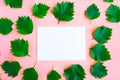 Bright fresh green leafs pattern and white mockup blank on pink pastel background. Minimal concept. Royalty Free Stock Photo