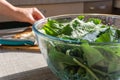 Bright fresh leaves of sorrel in a glass bowl. Rustic style. Royalty Free Stock Photo