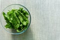 Bright fresh leaves of sorrel in a glass bowl. Rustic style. Royalty Free Stock Photo