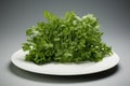 Bright Fresh parsley plate. Generate ai