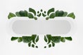 Bright fresh spring abstract figure of white rounded horizontal rectangle form as stripe or search bar with tropical green leaves.