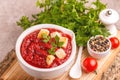 Bright fresh tasty pureed tomato soup with ingredients Royalty Free Stock Photo