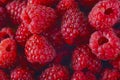 Bright fresh vitaminous raspberry closeup Royalty Free Stock Photo