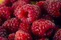 Bright fresh vitaminous raspberry closeup