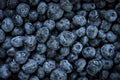 Blueberries close up and freshly washed