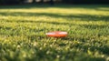 A bright frisbee lying on a well-maintained grassy field Royalty Free Stock Photo