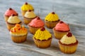 Bright frosted cupcakes.