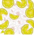 Bright fruit citrus design. Juicy green citrus slice.