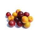 Bright fruits - orange apricots and dark plums  on white Royalty Free Stock Photo