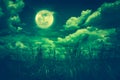 Bright full moon above wilderness area, serenity nature background Royalty Free Stock Photo