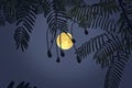 Bright full moon and black leaves