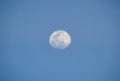 Bright full moon on blue sky during daylight. Round lunar disc Royalty Free Stock Photo