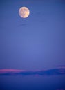 Bright full moon in early evening sky with long, pink-tinged cloud bank below Royalty Free Stock Photo