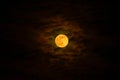 A bright full moon in full glory in the night sky. The Blood Moon on Halloween night. Natural background