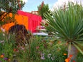Chelsea Flower Show - An bright garden with flowers and trees