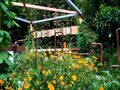 An artisan garden at the Chelsea Flower Show