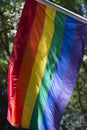 Bright Gay Pride Rainbow Flag Greenery Royalty Free Stock Photo