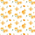 Apricot flowers watercolor illustrations. Bright floral pattern on a white background. Decorative background for Asian Lunar New Y Royalty Free Stock Photo