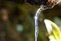 Bright Glint of Sunlight Reflecting from a Thin Stream of Water