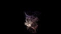 Bright globe formed by flying space dust isolated over black background. Animation. Animation. Vibrant fiery particles