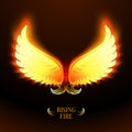 Bright glowing fire angel wings Royalty Free Stock Photo