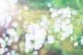 Bright glowing green nature bokeh background. Spring or summer abstract backdrop. Soft Light Royalty Free Stock Photo