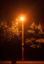 A bright glowing street lamp light in the dark outside at night