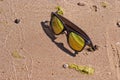 Bright gold color sunglasses in the wet sand, beach Royalty Free Stock Photo
