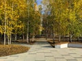 Bright golden autumn. People walk along the autumn alley in the park