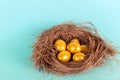 Bright golden Easter eggs in a straw nest on a blue background Royalty Free Stock Photo