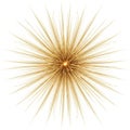 Golden starburst explosion effect isolated on white background Royalty Free Stock Photo