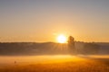 Bright golden sunrise over the Dresden Elbe Valley in Germany with hills in the background Royalty Free Stock Photo