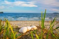 Bright golden sunset on the beach, the waves on the sand, shells.