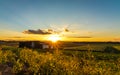 Bright golden sunset in late summer over farmlands in the black dirt region of Pine Island, New York