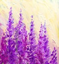 Oil painting. Bright Lupine Flowers Royalty Free Stock Photo