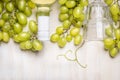 Bright grapes with a bottle of white wine and glass on rustic a white wooden background Royalty Free Stock Photo