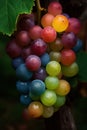 Bright grapes of rainbow colors. Generative AI
