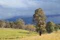 Bright grassy Hills with Australian native trees and dark stormy clouds in background